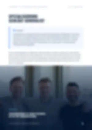 Weitere Seite des Reports (unscharf)